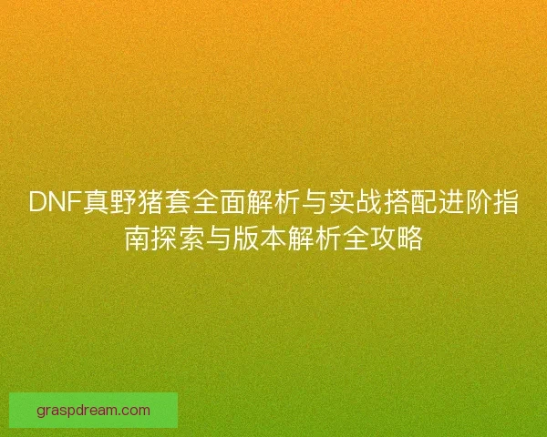 DNF真野猪套全面解析与实战搭配进阶指南探索与版本解析全攻略 DNF真野猪套全面解析与实战搭配进阶指南探索与版本解析全攻略